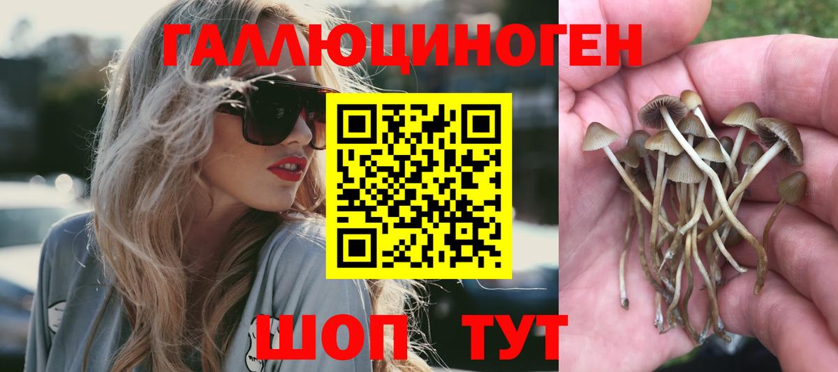 Галлюциногенные грибы MAGIC MUSHROOMS  Вход с VPN  Камень-на-Оби 